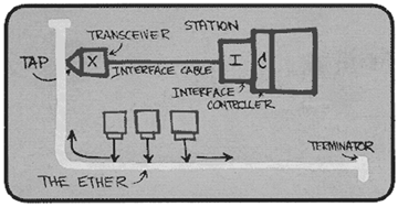 Figure 1.29
