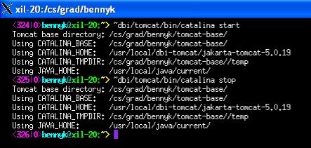 Tomcat Running