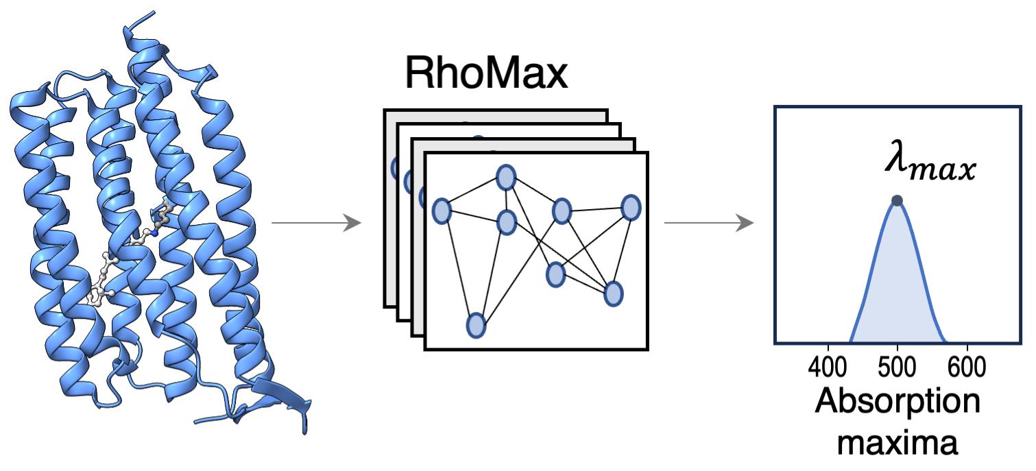 RhoMax logo